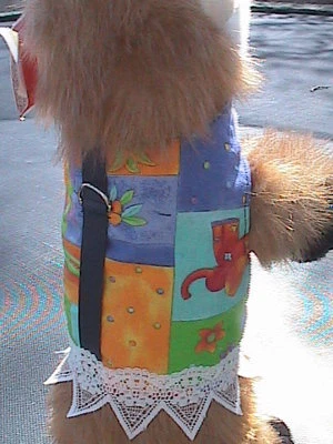 小动物背带 - 夏季被子蕾丝裙 - 狗、猫、猴子 — 第 1/4 张图片