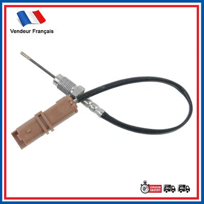 Sonde Température d'Echappement FAP prévu pour Peugeot 307 308 406 407 607 807 - Imagen 1 de 4