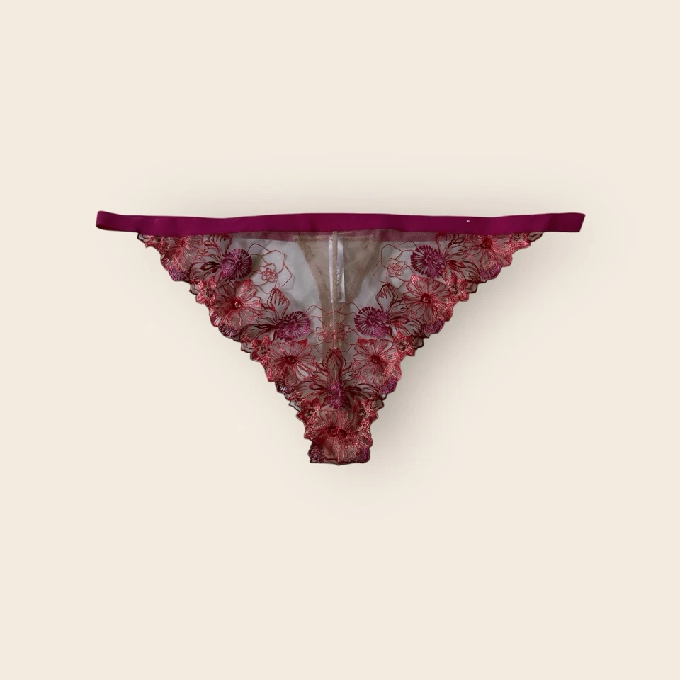 Calcinha Tanga Lane Bryant Cacique Malha Transparente 26/28 Bordada Rosa Floral (1298) - Imagem 1 de 4