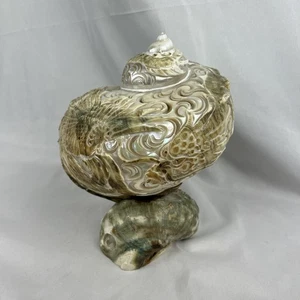 Antique Turbo Marmoratus Green Turban Carved Dragon Phoenix Sea Shell Sculpture - Picture 1 of 11