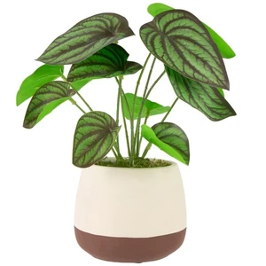 Planta de Peperomia Artificial Northlight 10.25" en Maceta Cerámica Dos Tonos - Imagen 1 de 6
