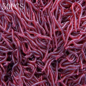 50Pcs 4cm Soft Earthworm Fishing Bait Red Worm Lures Grub Simulation Tackle US - Picture 1 of 20
