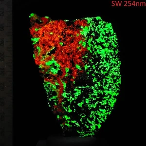 Clinoedrita Bustamite Willemite onda corta minerales fluorescentes Franklin 0,4 kg - Imagen 1 de 10
