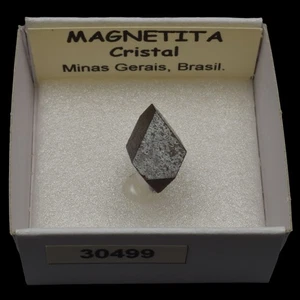 MAGNETITA Cristal (Minas Gerais, Brasil) #30499 / Magnetite - Picture 1 of 1