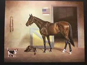 KELSO  Photo Horse Racing  HORSE OF THE YEAR - Picture 1 of 2