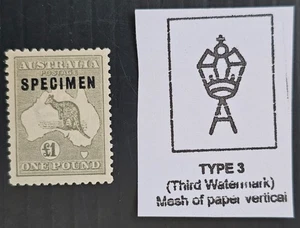 1924 Australia £1.00 grey Kangaroo stanmp 3rd WMK Type C SPECIMEN + Gum $375.00. - Picture 1 of 3