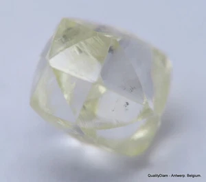 BUY NOW ENJOY LIFE TIME - OUT FROM DIAMOND MINE IDEAL FOR UNCUT DIAMOND JEWELRY - Picture 1 of 8