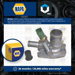 Coolant Thermostat NTH1002 NAPA 55193669 55194029 55202176 55239819 55250824 New