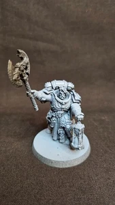Space Wolves | Judiciar CUSTOM | Primed & Ready for Paint - Picture 1 of 5