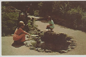 HOT SPRINGS NATIONALPARK ARKANSAS VINTAGE POSTKARTE UNBESPIELT 2X12 - Bild 1 von 2