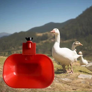 Large Automatic Cup Water Feeder Duck Geese Poultry Chook - Picture 1 of 7