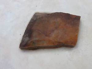 Golden Yellow with a bit of Red MOSS AGATE Rough Slab #J1981 - Picture 1 of 2