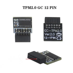 New 12 Pin TPM 2.0 Module Securely Encryption Keys PC System For GIGABYTE GC - Zdjęcie 1 z 6