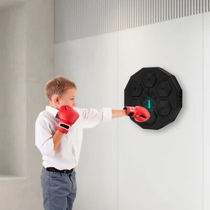 Music Boxing Machine, Wall Mounted LED Light Boxing Equipment with Bluetooth - Picture 1 of 4