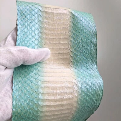 Cobra Snake Skin Leather Snakeskin Hide Craft Supply  Pearl Variegated Green - Image 1 of 4