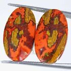 15.10Cts Natural Morocco Seam Agate Cabochon Pair Oval Loose Gemstones