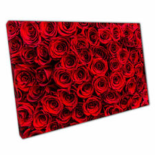 Vibrant Red Rose Flowers Romantic Valentine Floral Photography Print Canvas