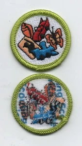 Collections Merit Badge, Type M, "Scouting America" Back (2025) - Picture 1 of 1