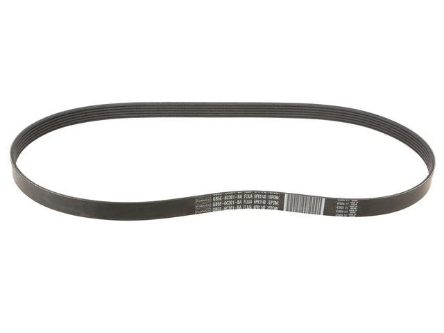 Cinturón multi costilla Motorcraft 65YB55W para Mazda CX9 2007-2015 Foto 1 de 1