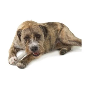 Deer Horn Dog Chew Toy Made of Real Antler Material Durable Healthy and Natural - Picture 1 of 47