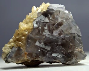 Baby Fluorit Bündel 161,0 Ct natürliche blaue Fluoritkristalle & Hundezahn Calcit  - Bild 1 von 8