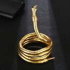 Metal Cobra Ring DIY Lock Men Delay Ring Chastity Belt Binding Game 90cm