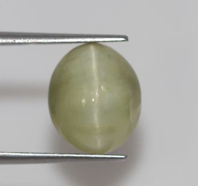 6.73 Ct Certified Natural Green Cat’s Eye Chrysoberyl Loose Gemstone Untreated - Image 1 of 4