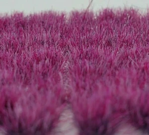 Self Adhesive Static Grass Tufts, Miniature Scenery/Terrain, Plum Purple 6mm - Picture 1 of 7