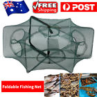 Foldable Fishing Shrimp Fish Crab Yabbie Bait Net Trap Cast Dip Cage 6 Holes