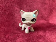 New listing
		Lps Real Authentic Littlest Pet Shop Shorthair Cat #483 Grey Tabby Hasbro 2006