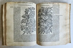 1561 PHARMACOPEIA ILLUSTRATED MEDICAL PLANTS by SANSOVINO antique 16th CENTURY - Picture 1 of 24