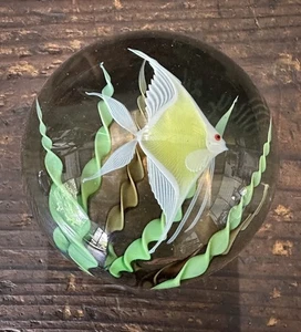Orient & Flume White and Yellow Angelfish 21/250 Art Glass Paperweight - Picture 1 of 10