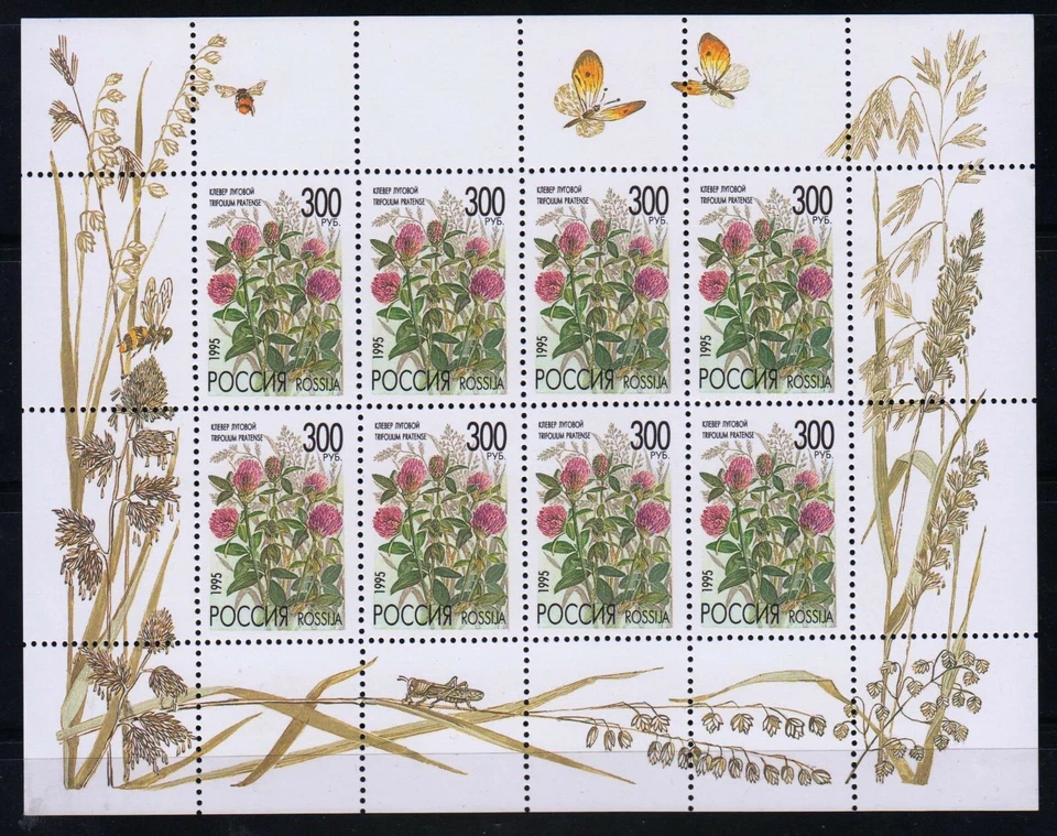 Rusia 1995 Sc.#6221a Flores de prado hoja en miniatura 8 sellos Foto 1 de 1