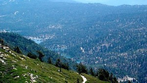 3 Big Bear Lake Residential Lots Total 7500 Sq ft 600 Yds From Pacific Crest Trl