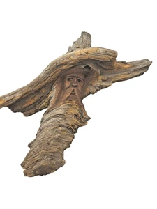 Vintage geschnitztes Gesicht alter Mann Knoten Holz Skulptur Wald Natur signiert 1985 - Bild 1 von 8