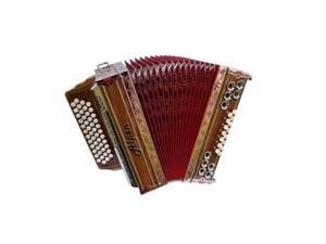 Steirische Harmonika Showharmonika Alpen selbstspielend inkl. Koffer & Riemen - Bild 1 von 12