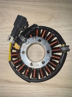 0451486 4060654 MSX150 MSX110 1999 - 2004 适用于 Polaris/Victory/PWC Jetski 定子 — 第 1/3 张图片