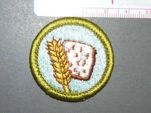 Pfadfinder Verdienstabzeichen Lebensmittelsysteme circa '76-'02 2723R - Bild 1 von 1