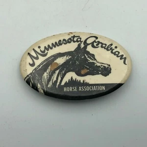 Minnesota Arabian Horse Association Button Pin Pinback Abzeichen AS IS Vintage Cool - Bild 1 von 12