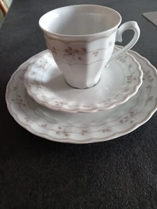 Kaffee Gedeck Eschenbach Toledo Rosa Blätterranke Top Zustand - Bild 1 von 5