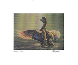RW67 2000 FEDERAL DUCK STAMP PRINT GMOTTLED DUCK by Adam Grimm - Picture 1 of 1