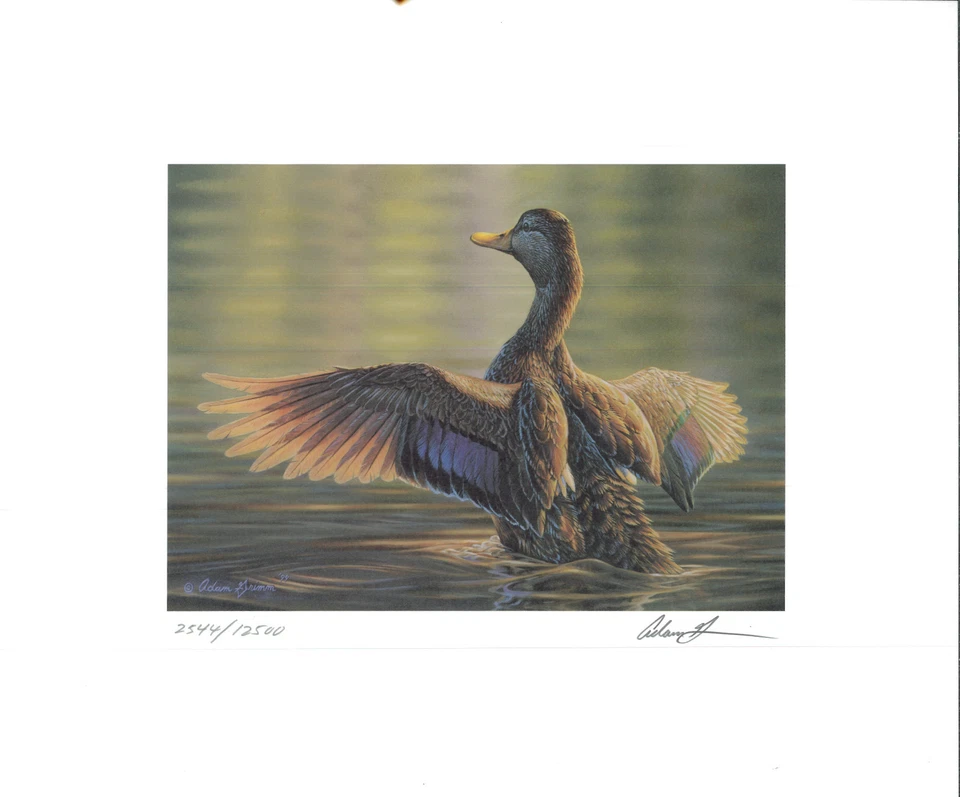 RW67 2000 FEDERAL DUCK STAMP PRINT GMOTTLED DUCK by Adam Grimm - Image 1 of 1