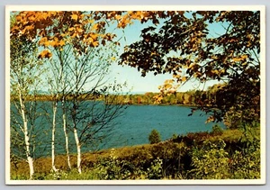 Fall Brings Special Beauty to the Mountains in Northeastern PA Vintage Postcard - Picture 1 of 2