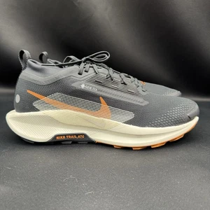 Größe Herren 11,5 - Nike Pegasus Trail 5 Gore-Tex Black Monarch - Bild 1 von 12