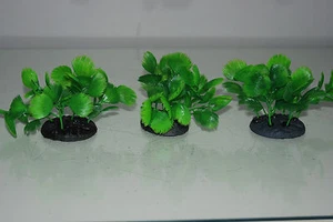 Aquarium 3 x Small Green Bush Plant 5x4x7 cms Ideal For The Front Of Aquarium - Picture 1 of 8