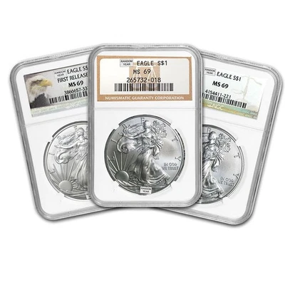 American Silver Eagle MS-69 NGC 1 OZ (año aleatorio) Foto 1 de 4