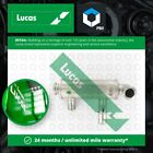 Egr Valve Cooler Fits Mini Cooper R56 1.6D 06 To 10 Lucas 11717804953 Quality