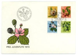 Cubierta Suiza 1973 con juego Pro Juventute - Imagen 1 de 2