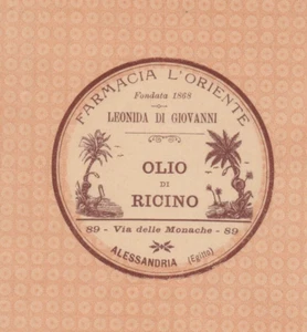 EGYPT-ITALY old Rare Label sticker Italian Pharmacy L'ORIENT-ALEXANDRIA 1920s - Picture 1 of 3