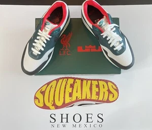 Size 11.5 Nike Air Max 1 ( LeBron James ) Summit White/Black FB8914 100 - Picture 1 of 8